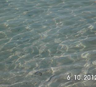 Wasser - sehr sauber und klar