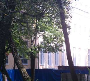 Parkanlage am Alexanderpalast in Pushkin