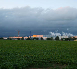 Blick zur Papierfabrik