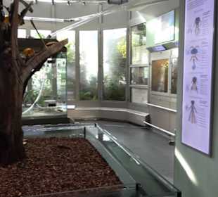 Aquarium