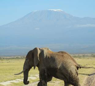 Klischee erfüllt, Eli mit Kili