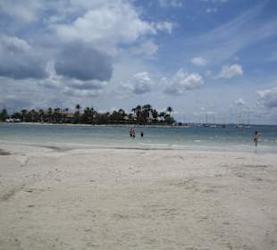 Ausflug Puerto de Alcudia