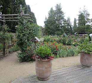  Schloss Azay le Rideau