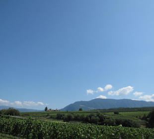 Burgen und Ansitze an der Weinstraße