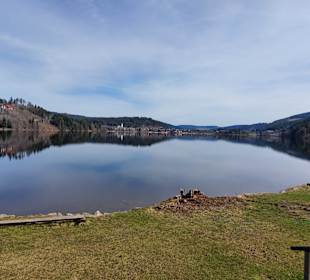Wandern Titisee-Neustadt