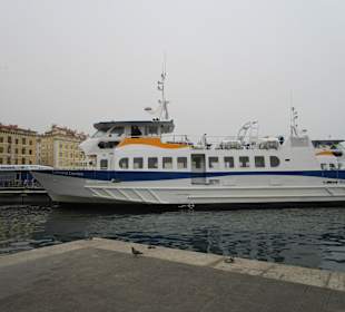 Fischmarkt frisch vom Kutter