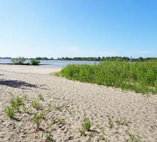 Eindrücke vom Strand am Rissener Ufer