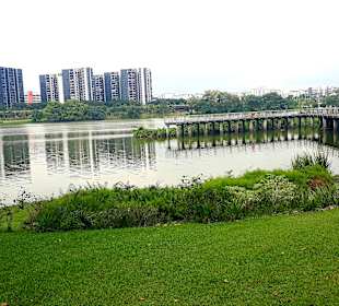 Jurong Lake und Gärten