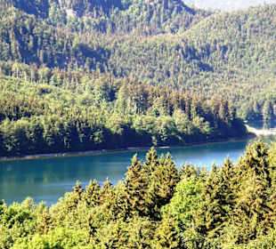 Альпзее. Вид из окон замка Хоэншвангау