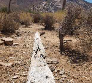 Interessante Wüstenlandschaft