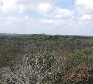 Blick vom Gipfel der Pyramide von Coba