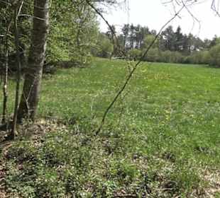 Waldlehrpfad an der Lauter