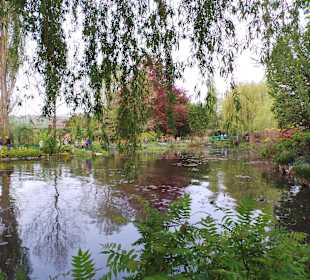 Wie Monets Bilder: Trauerweiden, Seerosen u. Teich