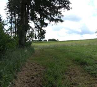 Premiumwanderweg "hochgehackert"