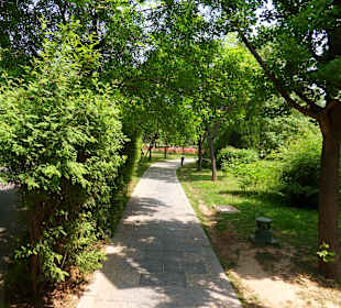 Dojście do terenu wykopalisk