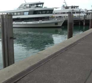 Hafen 