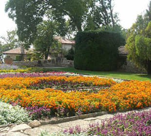 Blumenmeer