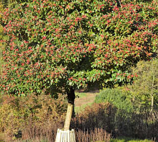 Herbststimmung im Dorfgarten Dötlingen