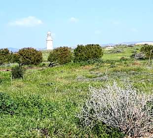Archäologischer Park Kato Pafos