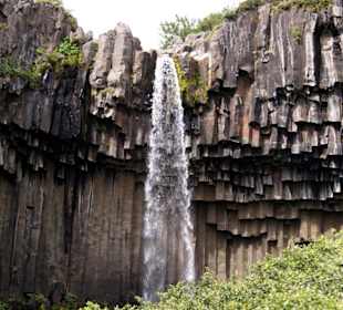 Hängende Basaltsäulen am Svartifoss