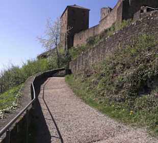 Reichsburg Trifels