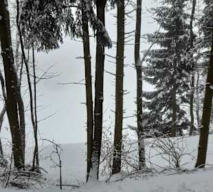 Wandern St. Kathrein am Offenegg