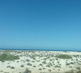 Parque Natural de las Dunas de Corralejo in Corral
