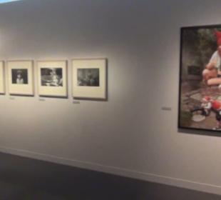 Zeitgeschichtliches Forum 