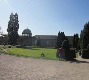 Der Botanische Garten im März 14