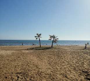 Strand Colakli