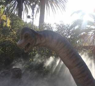 Universal Studio - jedna z atrakcji 