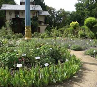 Rosengarten auf der Roseninsel