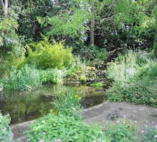 Regent´s Park Impressionen