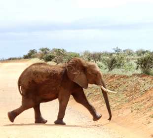 Jetzt aber schnell, wir kommen