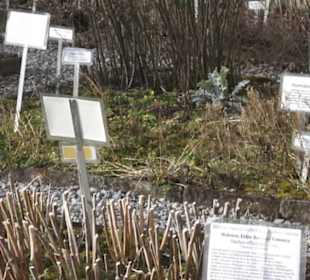 Gewürz- und Kräutergarten