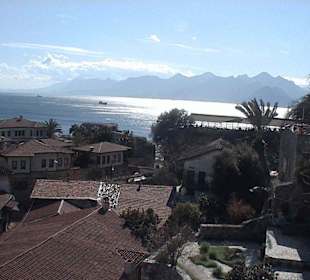 Blick über die Altstadt