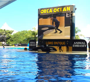Loro Parque