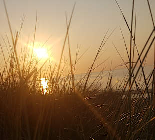 Strand Renesse