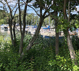 Yachthafen Rechlin