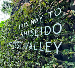 Jewel Changi Airport