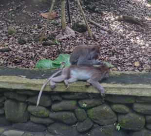 Bei der körperpflege