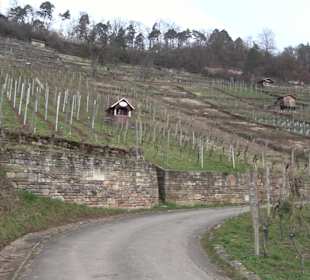 Unterjesinger Wengertwegle