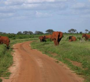 Kein Schritt  weiter!