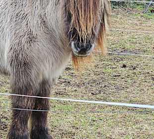 Wandern Norddorf auf Amrum