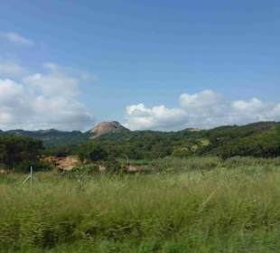 Krüger Nationalpark