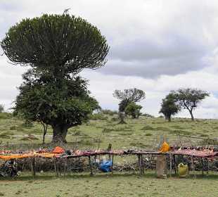Besuch bei den Massai im Dorf