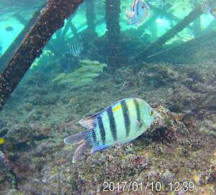 Riff am Hotel Strand