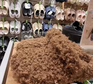 Shopping 