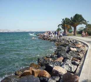 Auf der Großinsel Büyükada