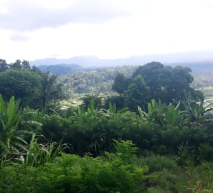 Ausblick von der Terrasse